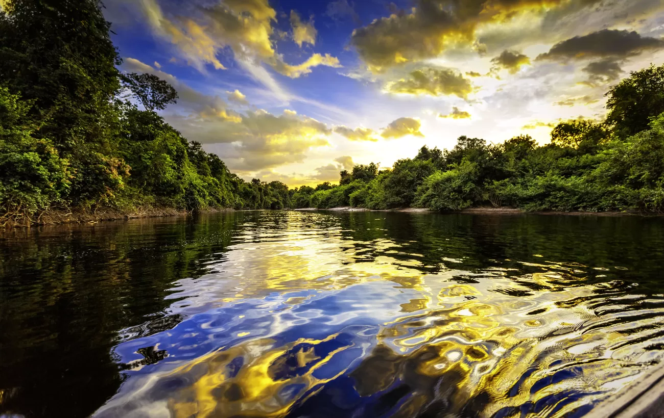 Amazon Rainforest Yachting Cruising The Worlds Largest Tropical Rainforest.