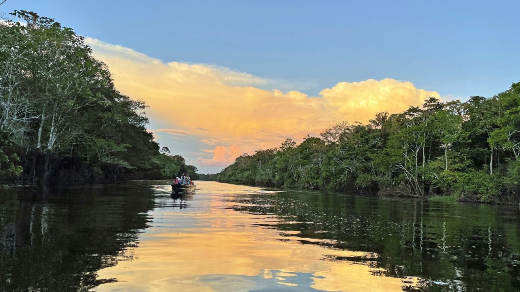 Amazon Rainforest Yachting Cruising The Worlds Largest Tropical Rainforest.