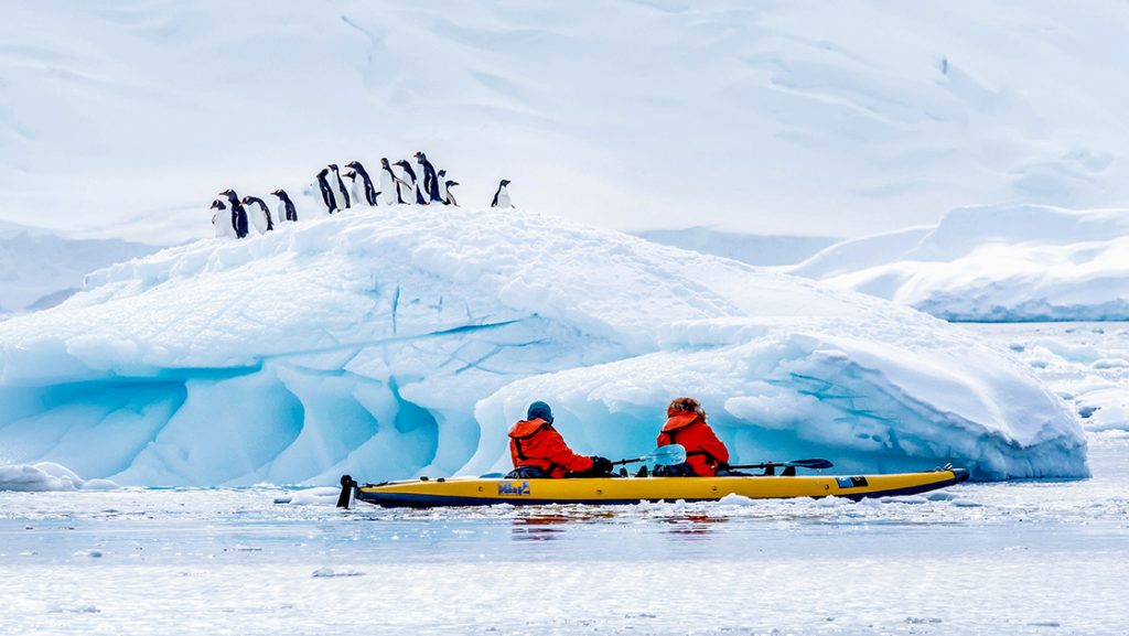 Antarcticas Frozen Landscapes A Unique Yachting Adventure To The White Continent.