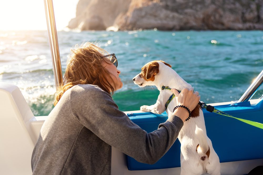 Can I Bring Pets On A Charter Yacht?